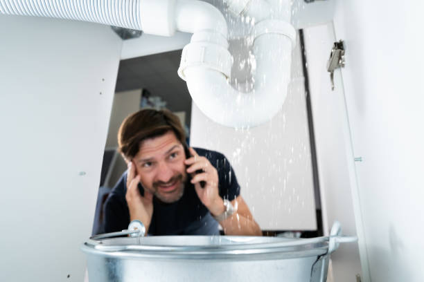 Best Affordable Plumber Near Me  in Las Lomas, CA