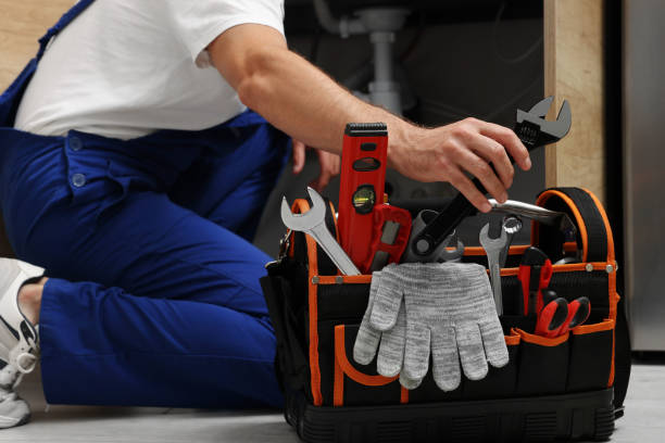 Best Commercial Plumbing Services  in Las Lomas, CA